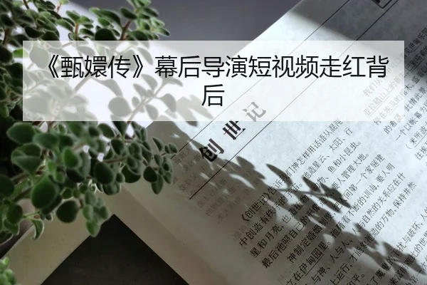 《甄嬛传》幕后导演短视频走红背后